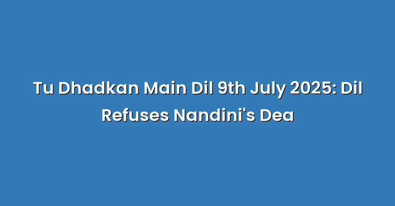 Tu Dhadkan Main Dil 9th July 2025: Dil Refuses Nandini's Dea - Text Only