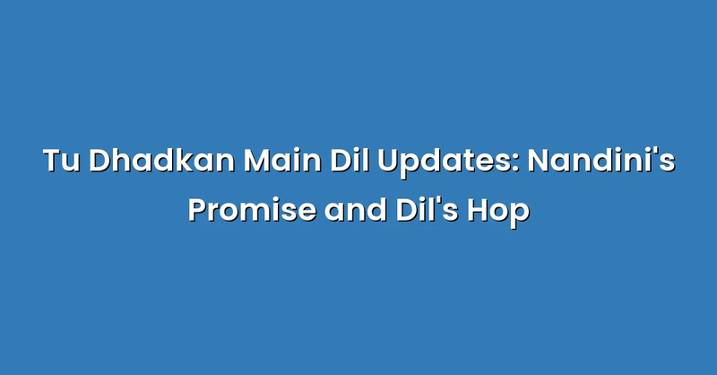 Tu Dhadkan Main Dil Updates: Nandini's Promise and Dil's Hop - Text Only